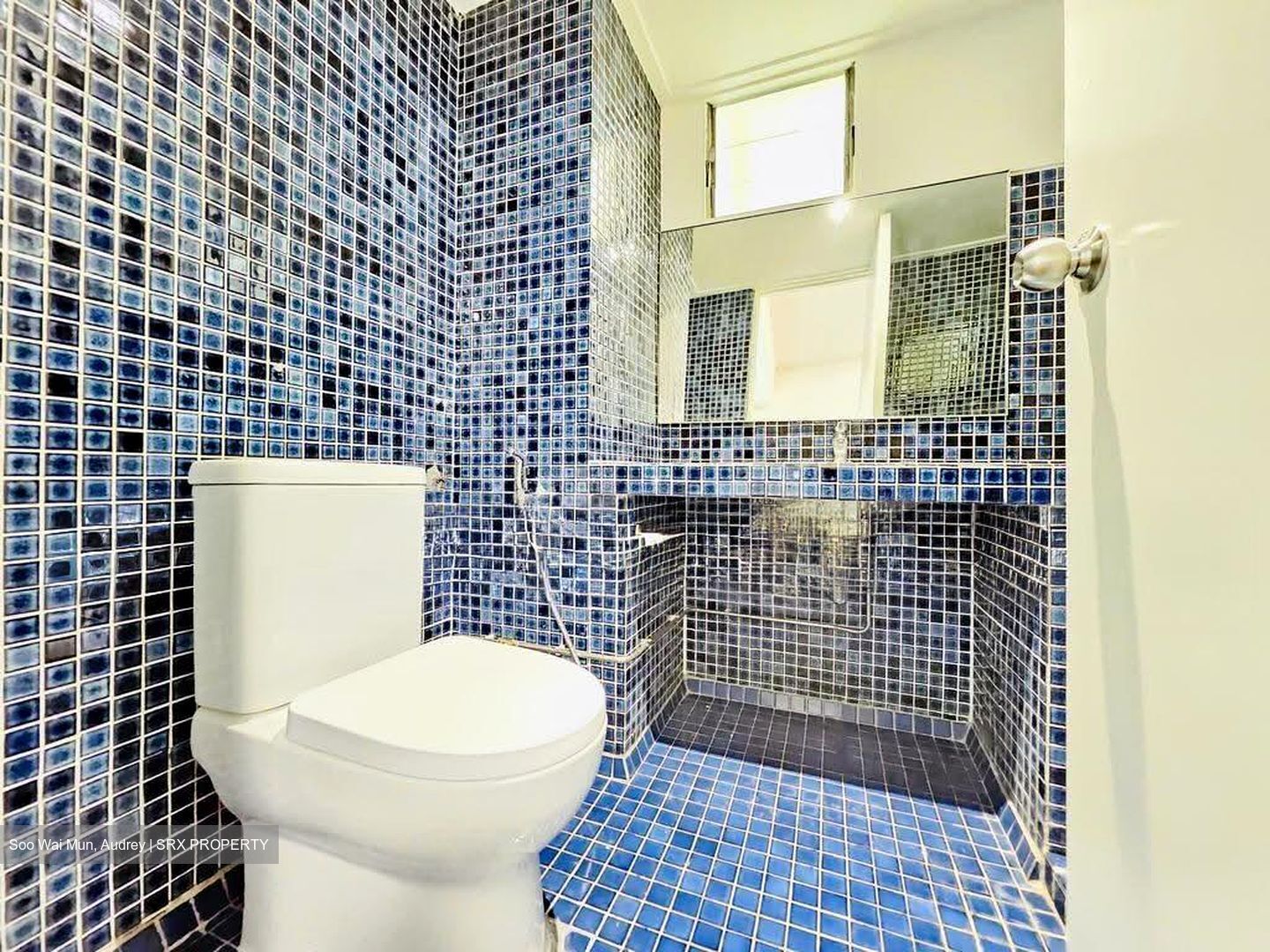 Dunearn Road (D11), Condominium #613531061